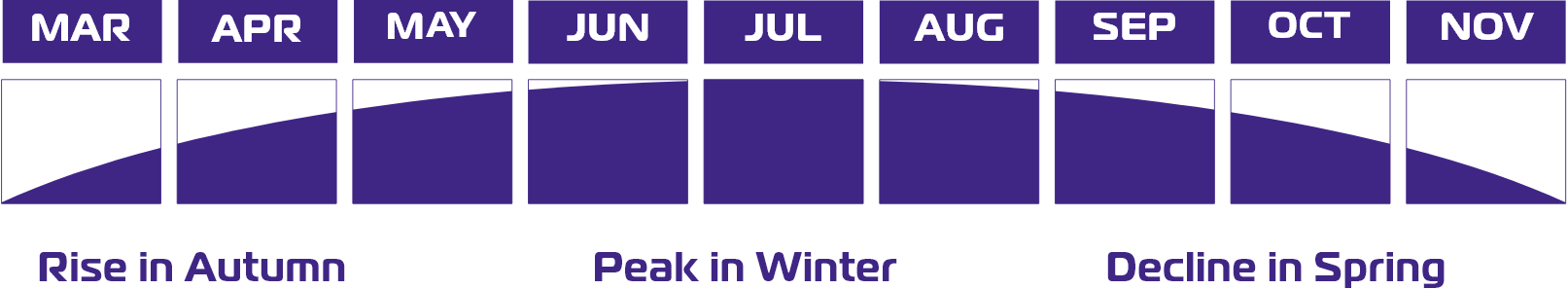 season